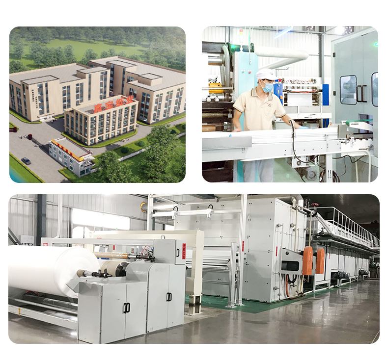 Paper Towel Suppliers