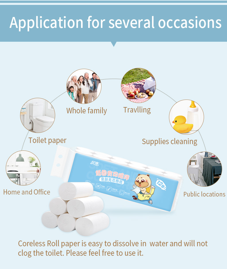 Toilet Paper Without Roll