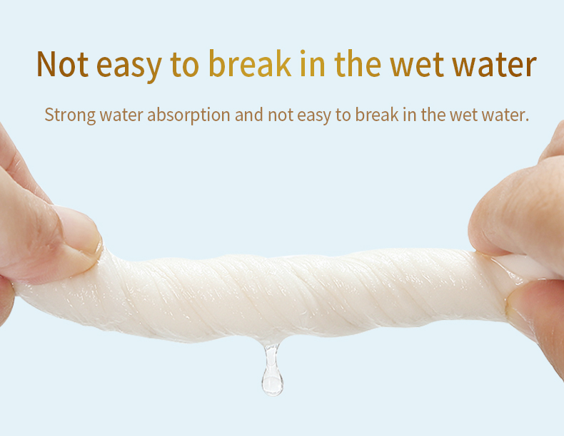 Absorbent Toilet Paper